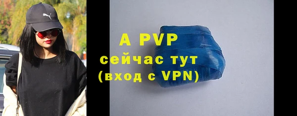 индика Армянск