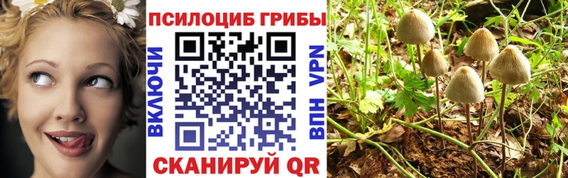 где найти   Касимов  Псилоцибиновые грибы ЛСД 